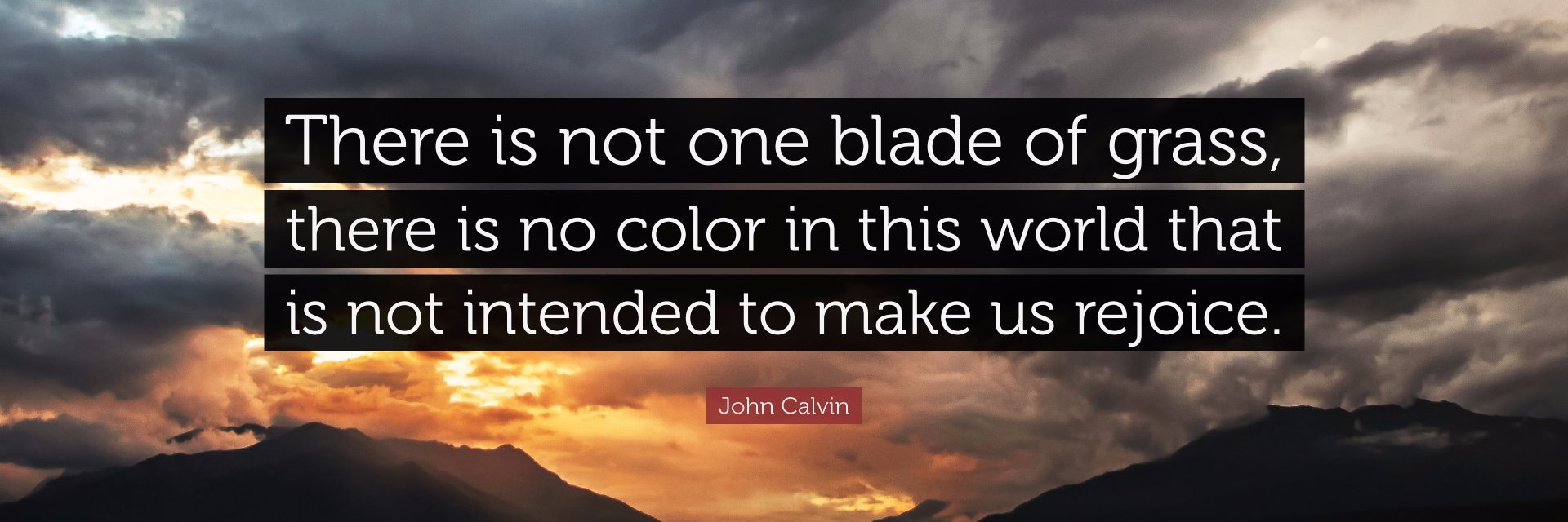 John Calvin banner