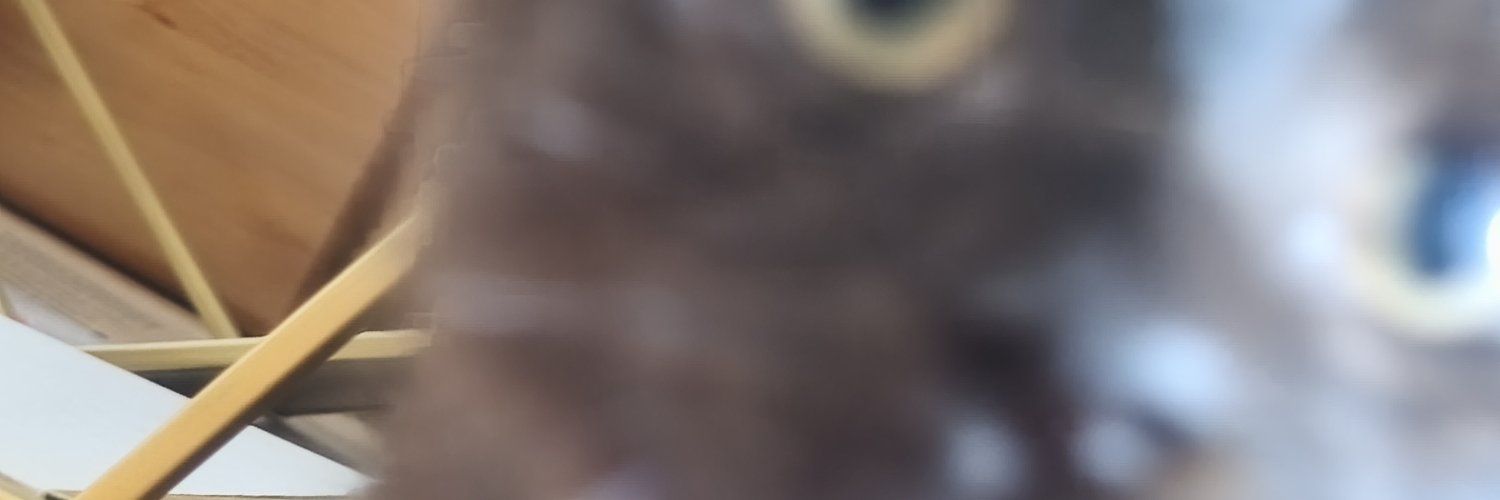 skysedge_'s profile banner image