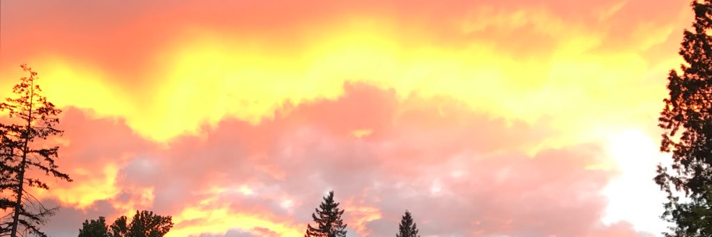 bmv329's profile banner image
