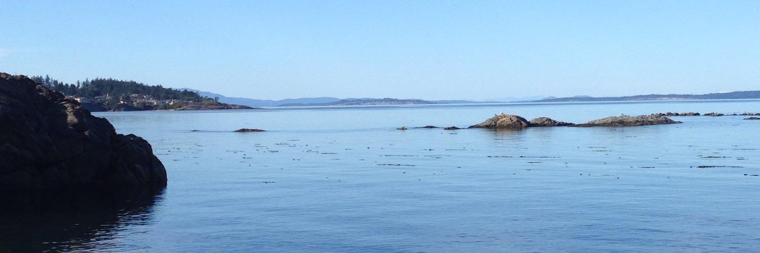 mitchel d she/her banner