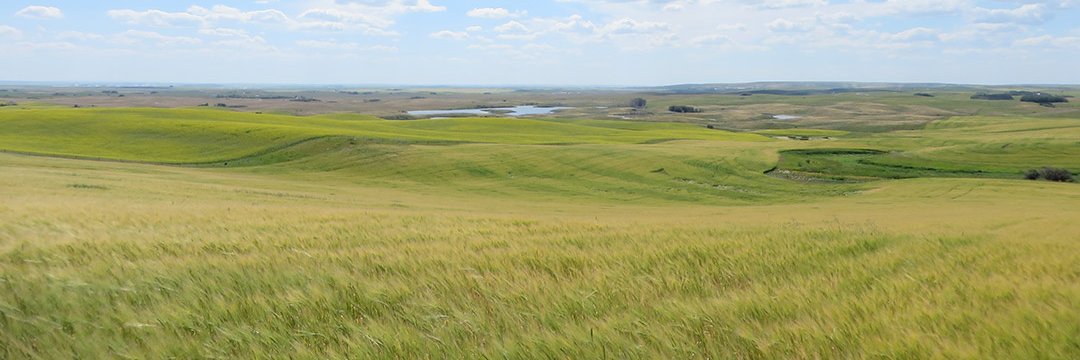 Wheatlandcounty's profile banner image