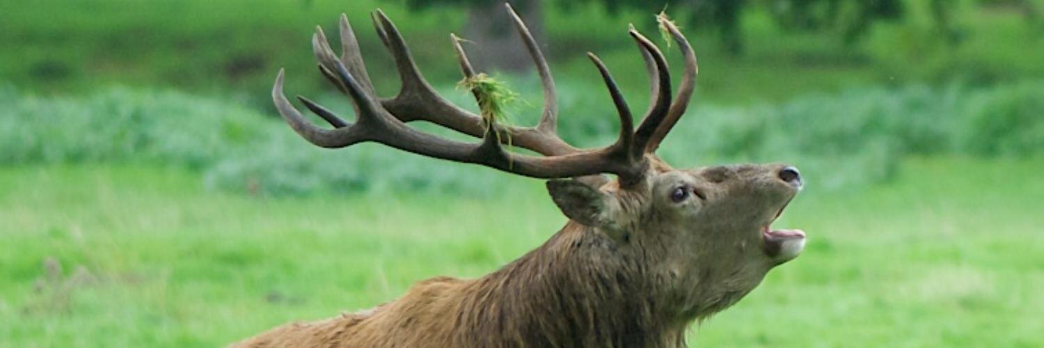 Education Officer banner