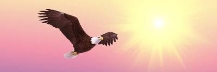AliUral3's profile banner image