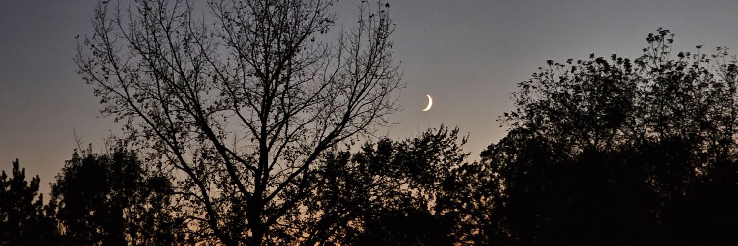 caaaaityy's profile banner image