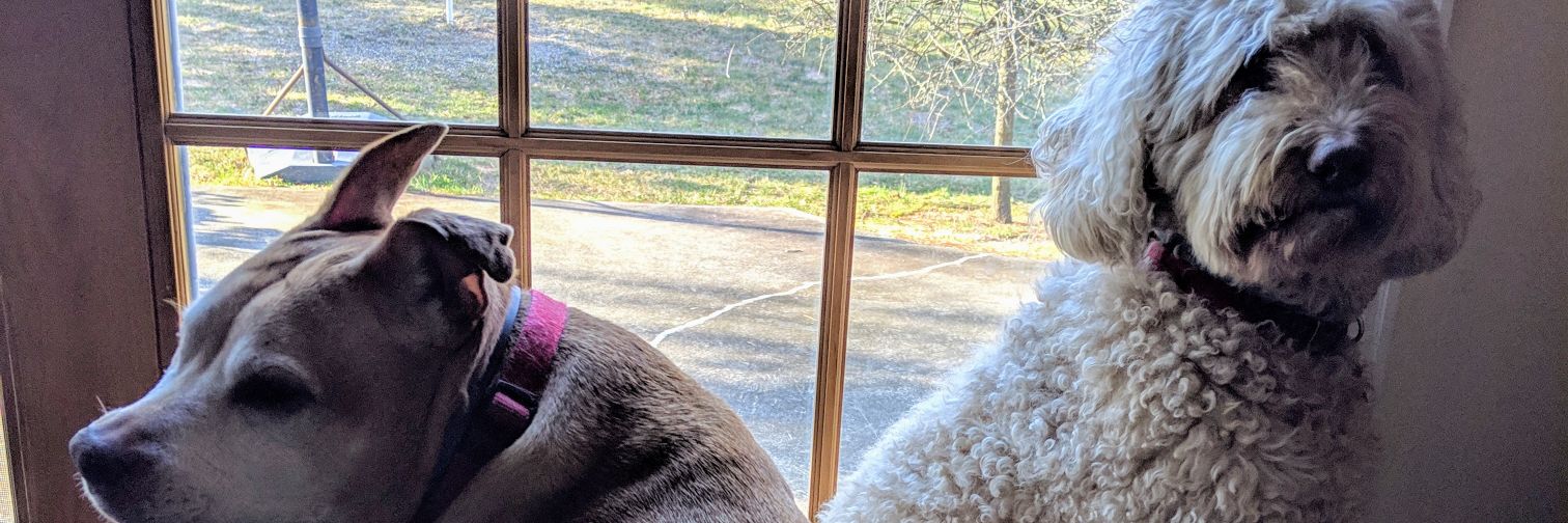 Sandy Freed Guthrie banner