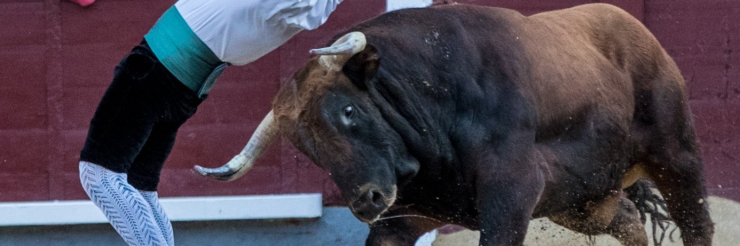 toropasion's profile banner image