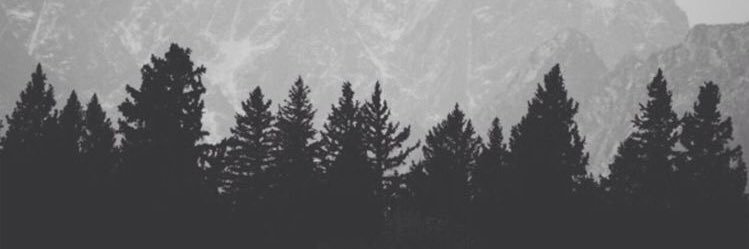 BraydonDavis3's profile banner image
