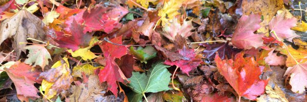 ImmyFunsized Profile Banner