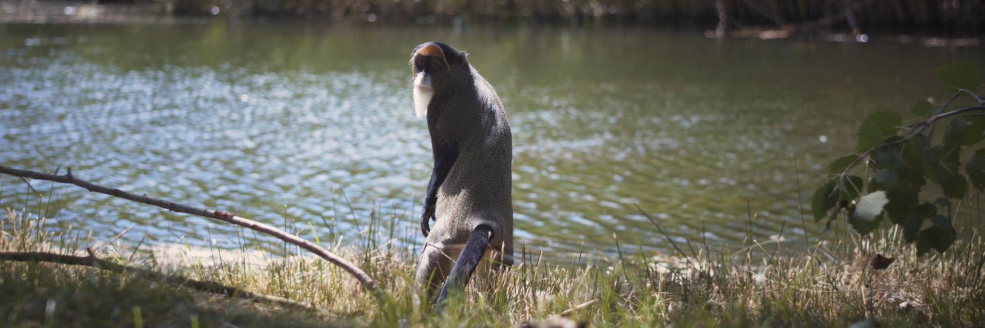 ZooParcOverloon banner