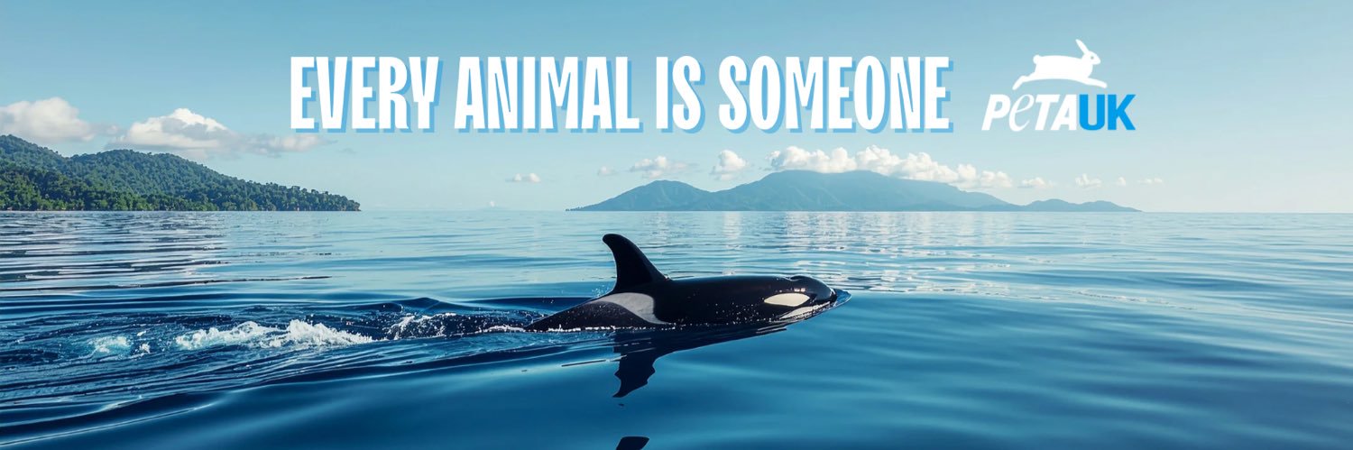 PETA UK banner