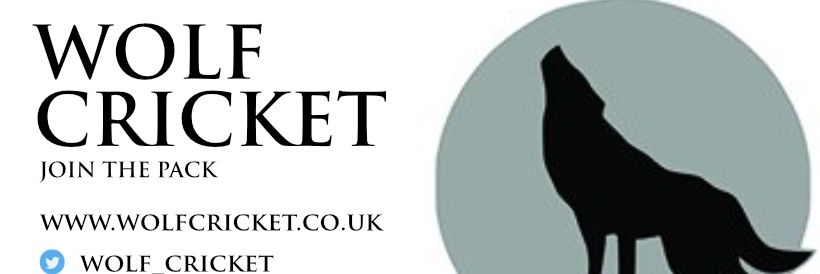 wolf_cricket's profile banner image