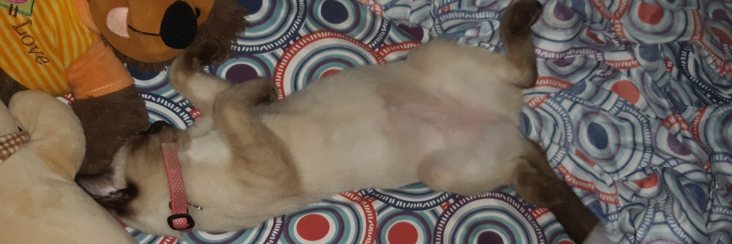 dimacogu22's profile banner image