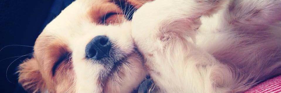 MaryAmy94's profile banner image