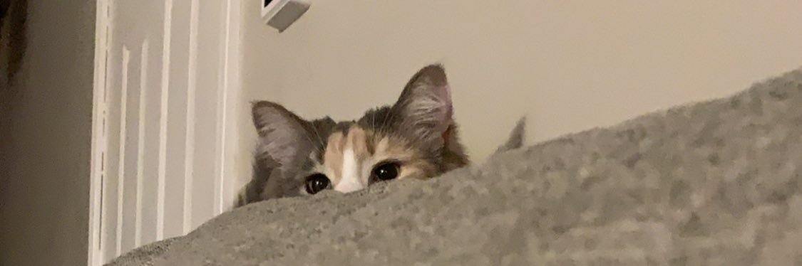grooober's profile banner image