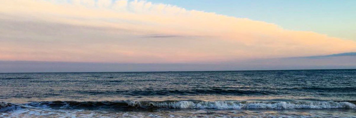 AlexandraBeech's profile banner image