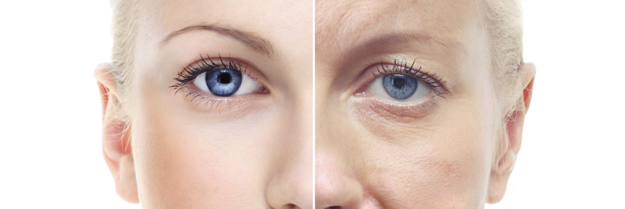 TheHumanAgingProject banner