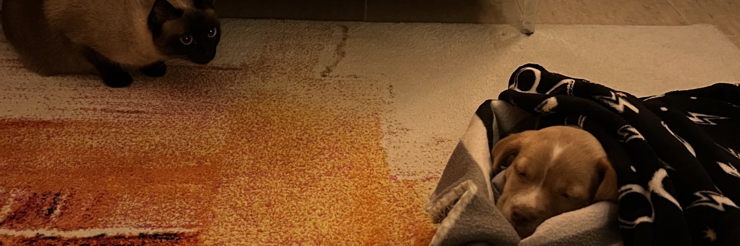 nauixth7's profile banner image