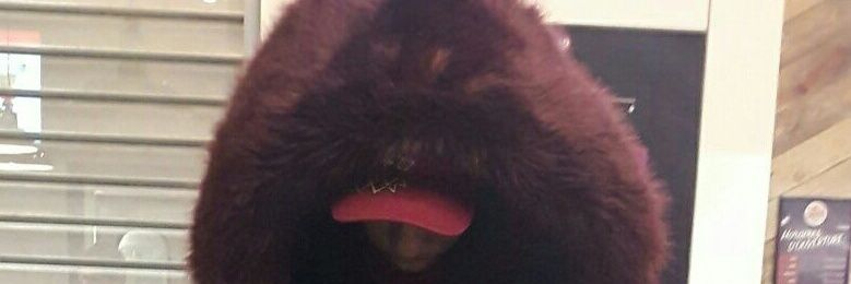 baboubko's profile banner image