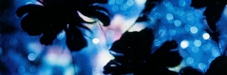 KhristSchecter's profile banner image