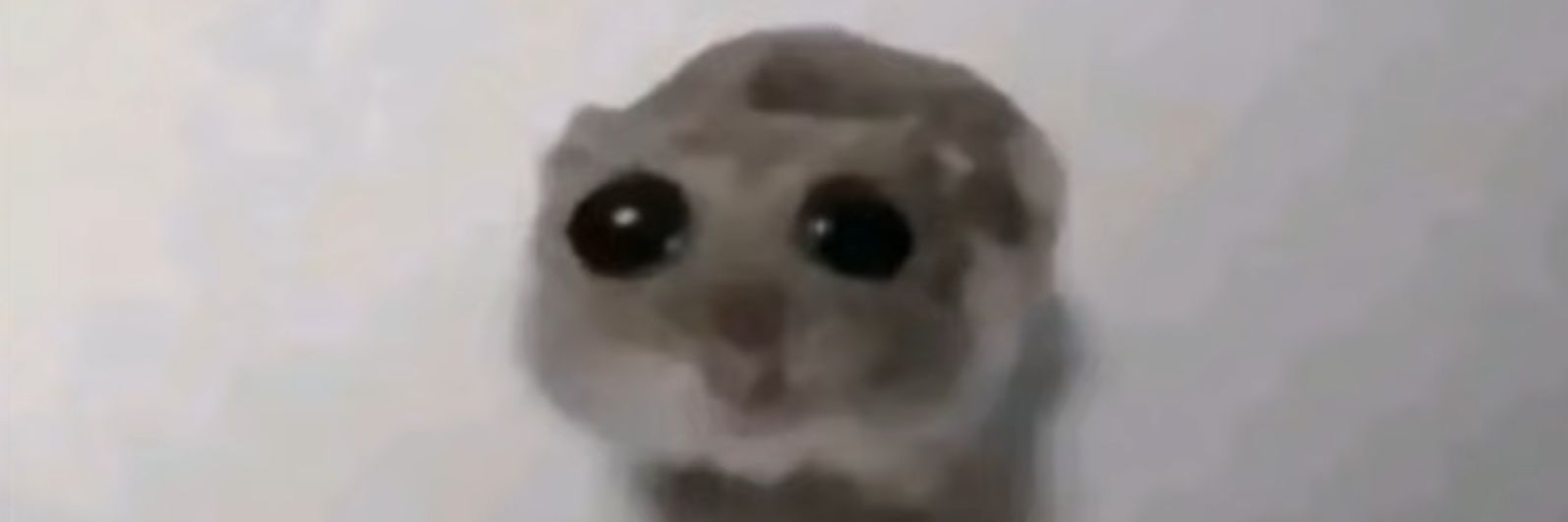 turing_hamster's banner