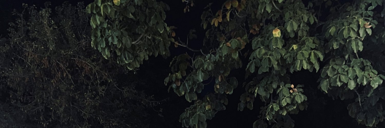 AlexGil_0's profile banner image