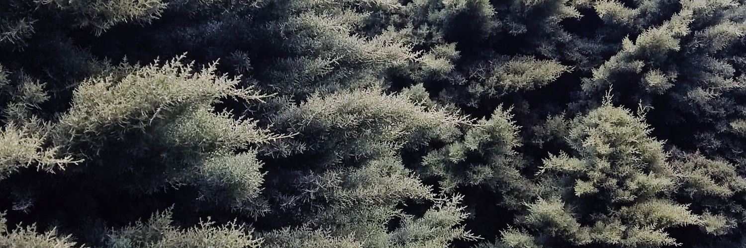 brain_hurts's profile banner image