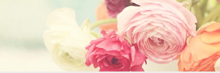 Michelle_Gage1's profile banner image