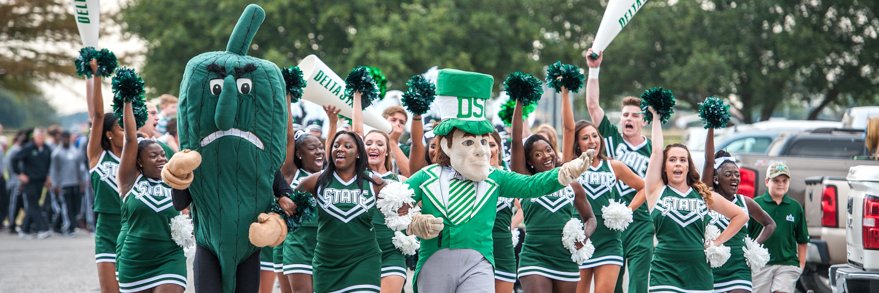 Lady Statesmen Basketball banner