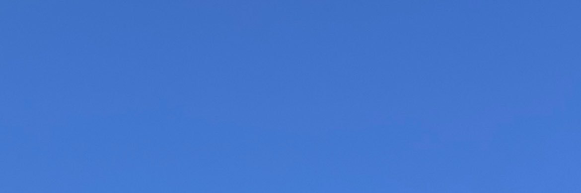 mariajuanella's profile banner image