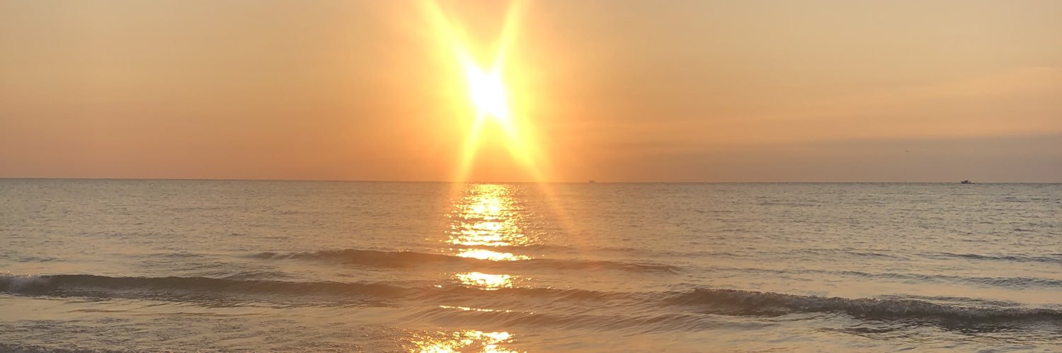 SocialFiTZ's profile banner image