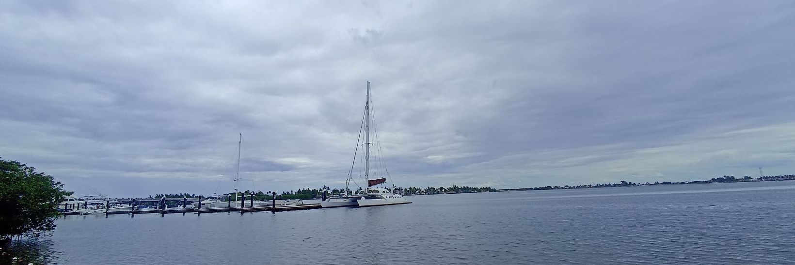 RossLo🌸🦩 banner