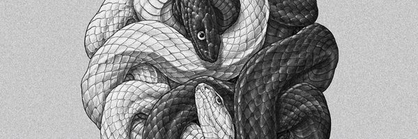 KillcardKillian Profile Banner