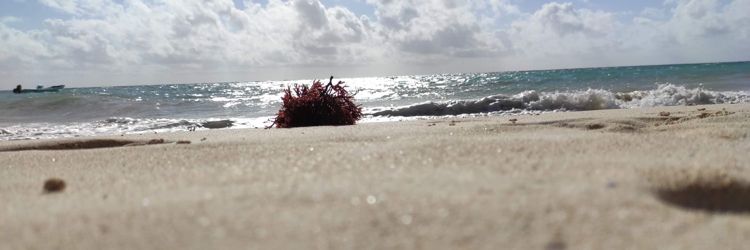 PinkRubyJnne's profile banner image