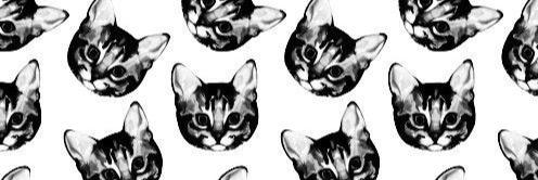 Bridgett Simmons banner