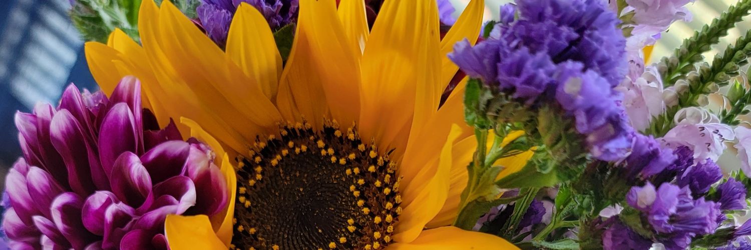 CaseyMLS88's profile banner image
