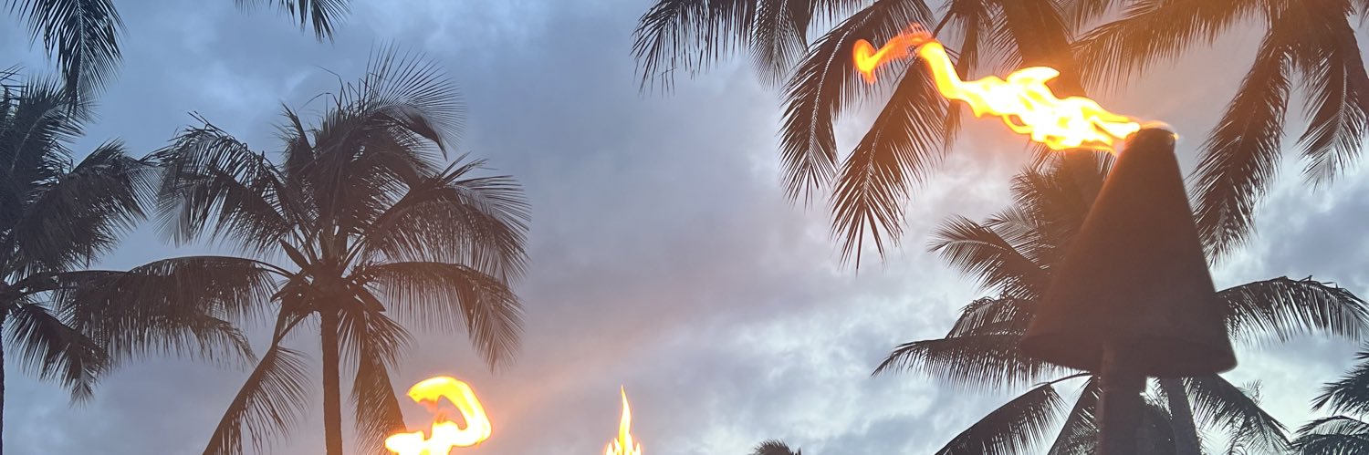 FinalightTwitch's profile banner image