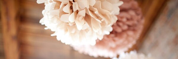 KaviarChicks's profile banner image