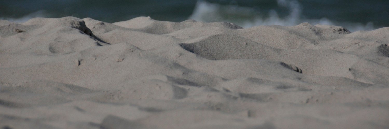 AnnaZaleska's profile banner image