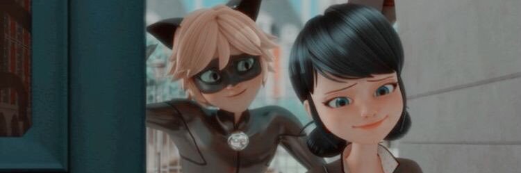 MenezesLauraa's profile banner image