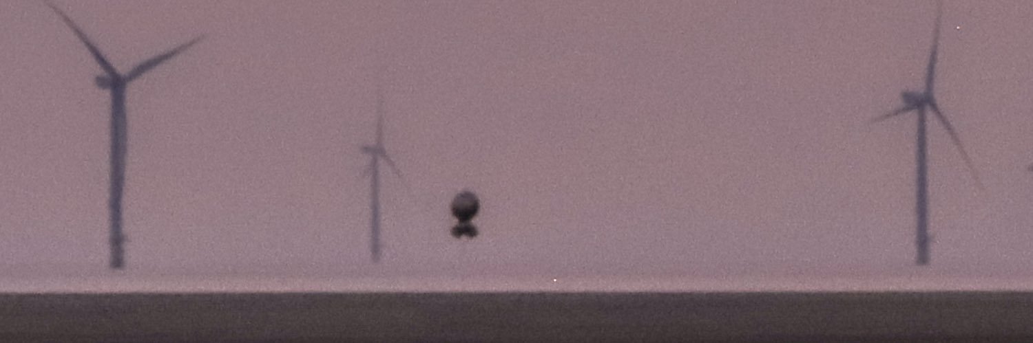 Colettegpjd's profile banner image