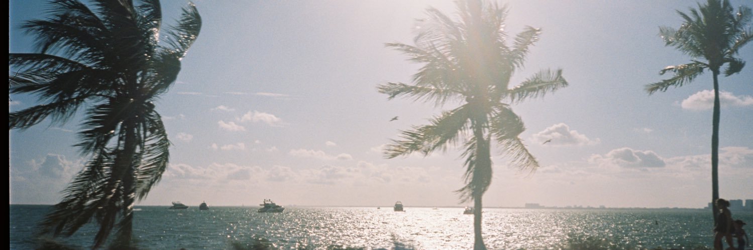 aishalfaro's profile banner image