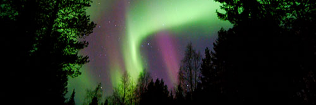 Northwolf1's profile banner image