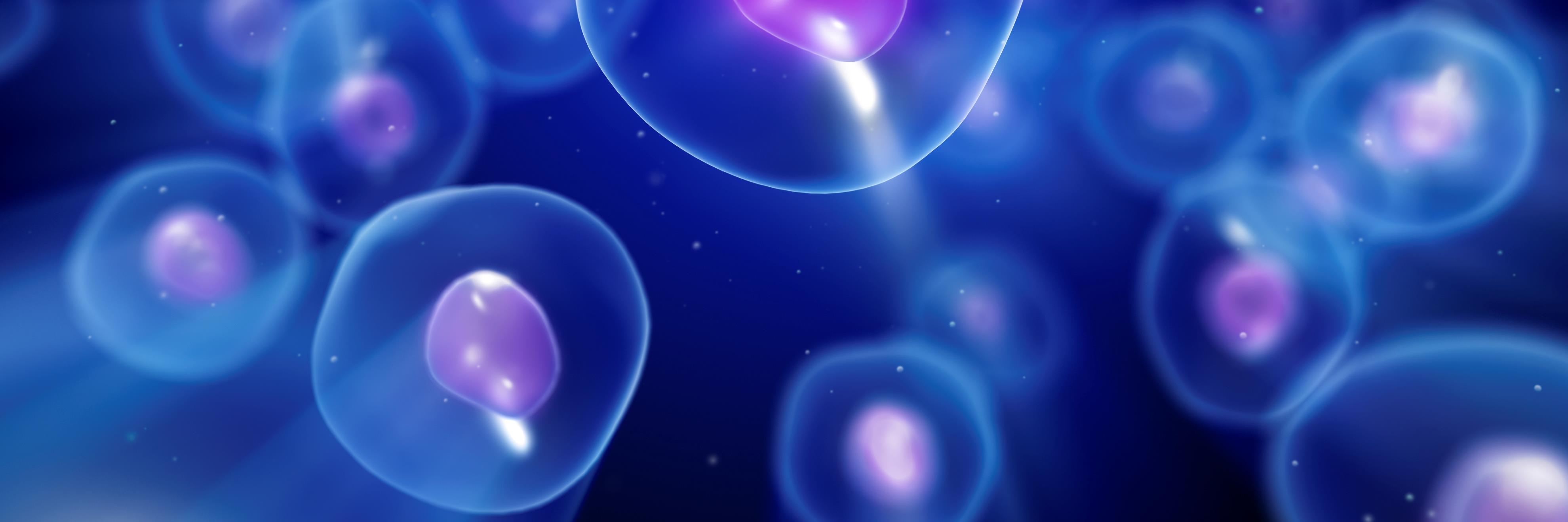 PathGH's profile banner image