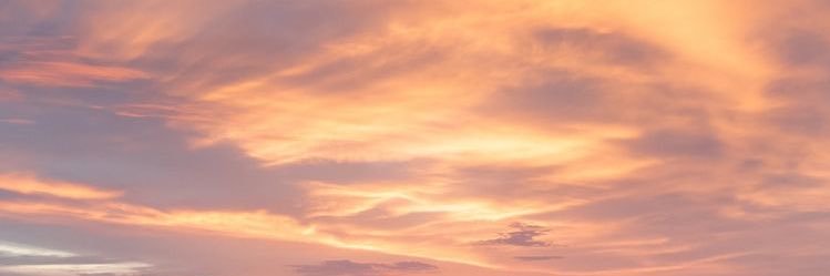 lucy_castle's profile banner image