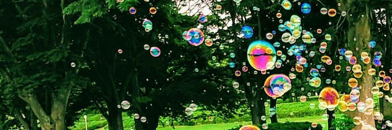 ankoline's profile banner image