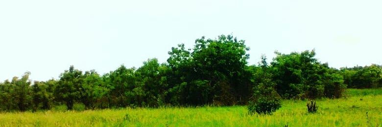 Jyoung_gh's profile banner image
