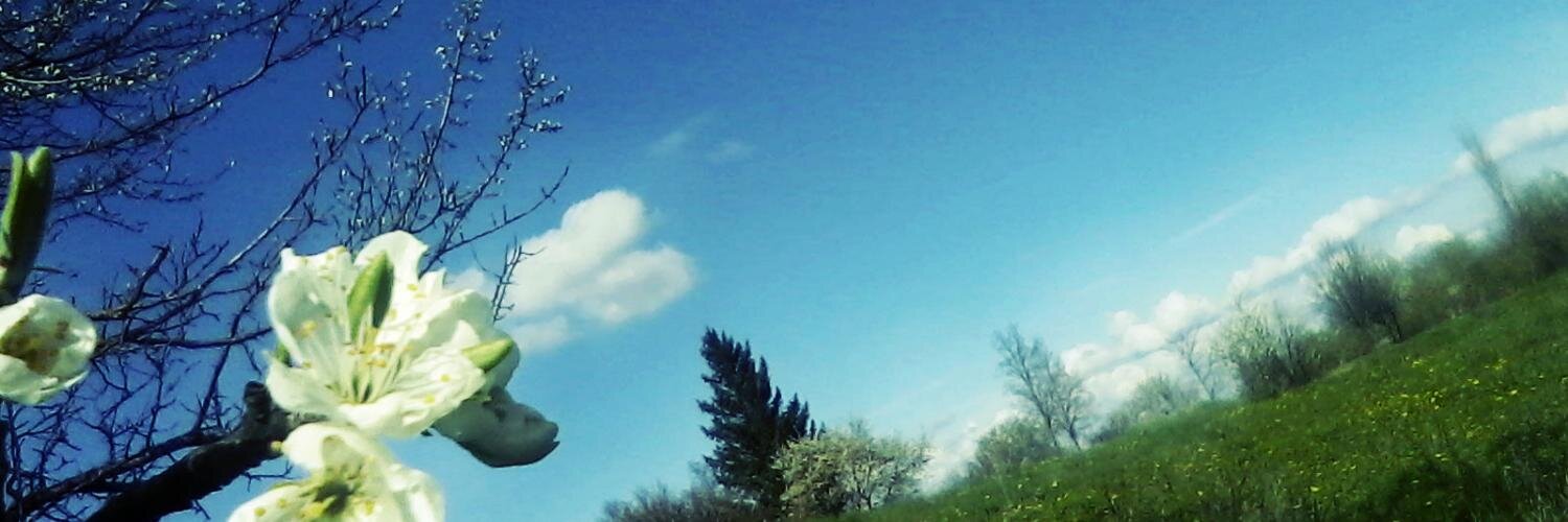 AnaMaria3133's profile banner image