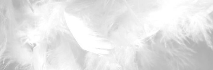 JessicaRobert29's profile banner image