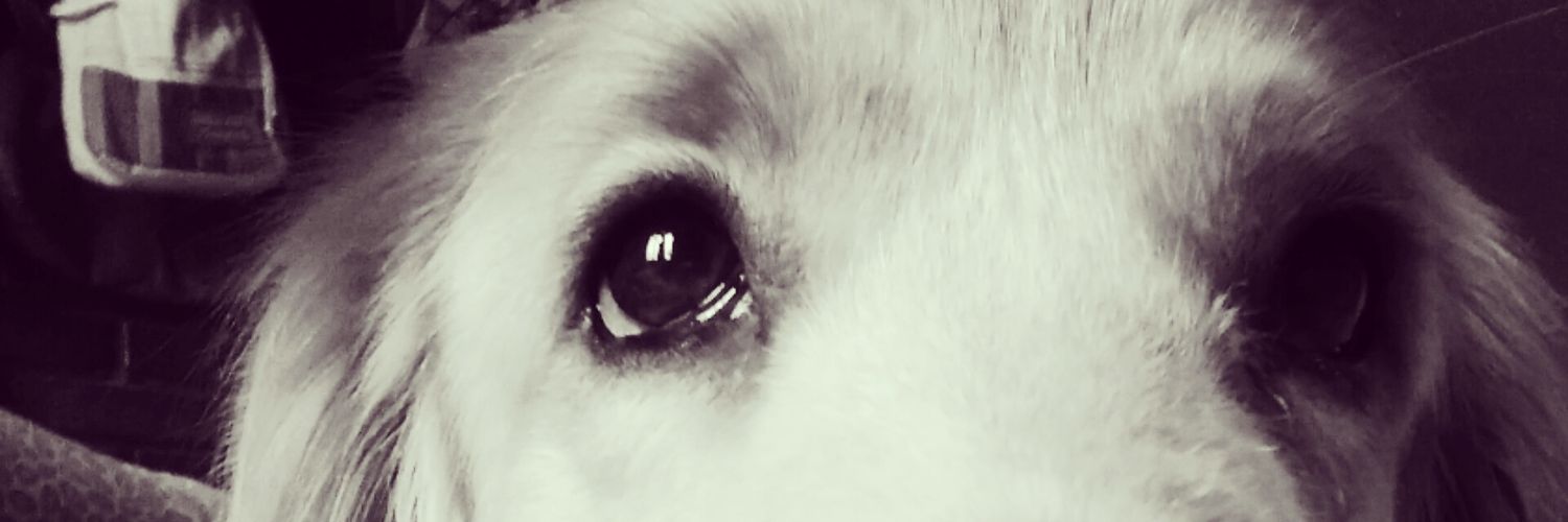 julieth1389's profile banner image