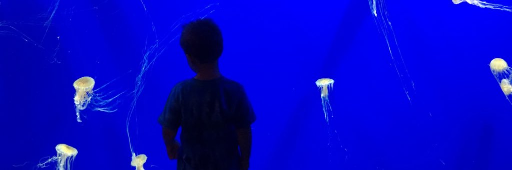 BardorfM's profile banner image